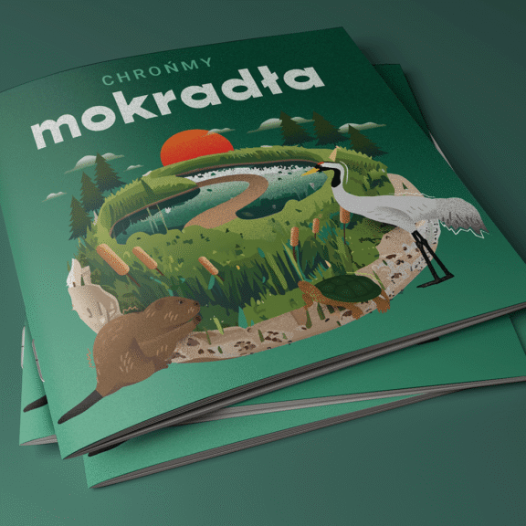 Identyfikacja-wizualna-i-wydawnictwo-ekologiczne_ mokradla-lasy-folder-cover