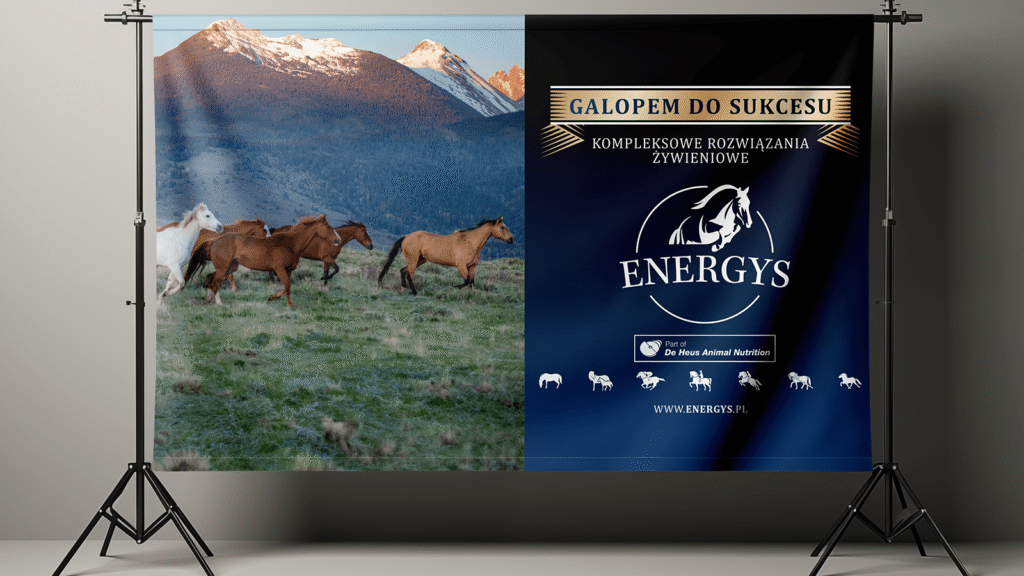 Banner reklamowy marki Energys – nowa linia wizualna